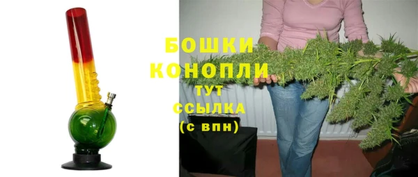 сатива Богородицк